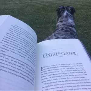 Meet your Posher, Paige